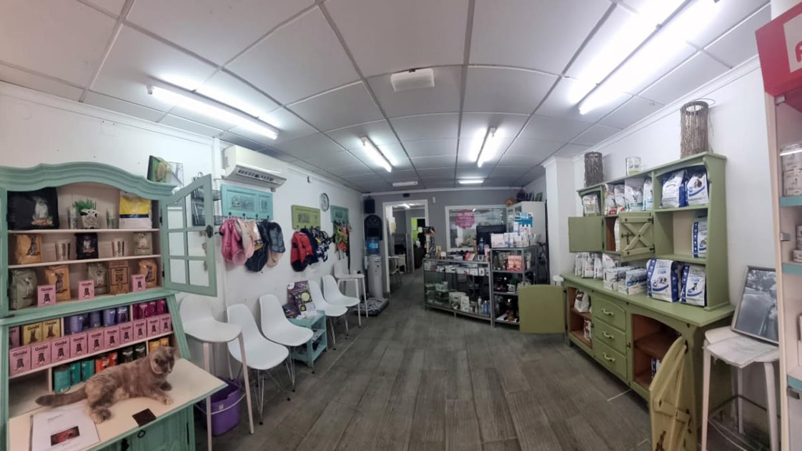 Clínica veterinaria Centro Veterinario Ifach