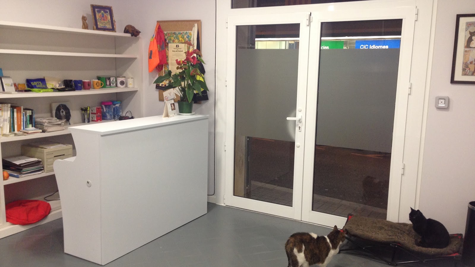 Clínica veterinaria Centre Veterinari Joanic