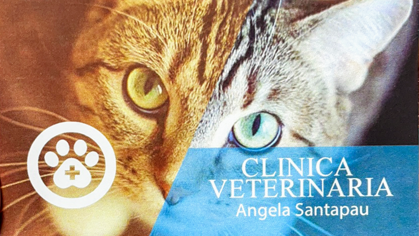 Clínica veterinaria Clínica Veterinaria Oliva. Ángela Santapau