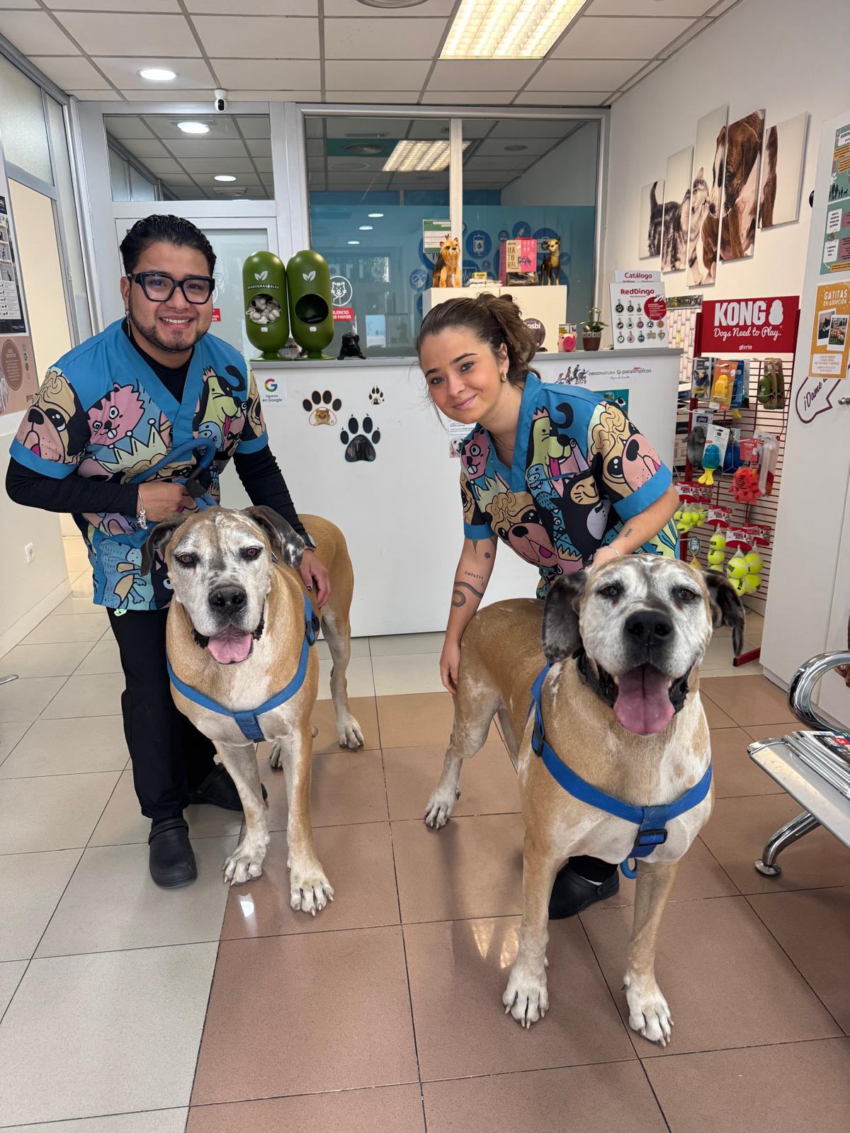 Clínica veterinaria Clinanimal Veterinarios Burgos