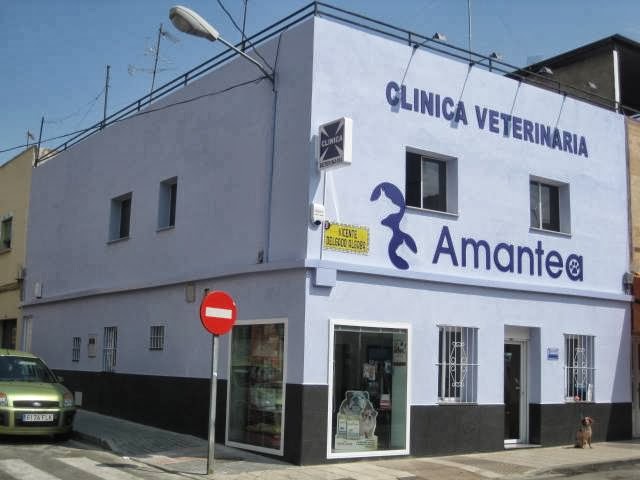 Clínica veterinaria Clínica Veterinaria Amantea