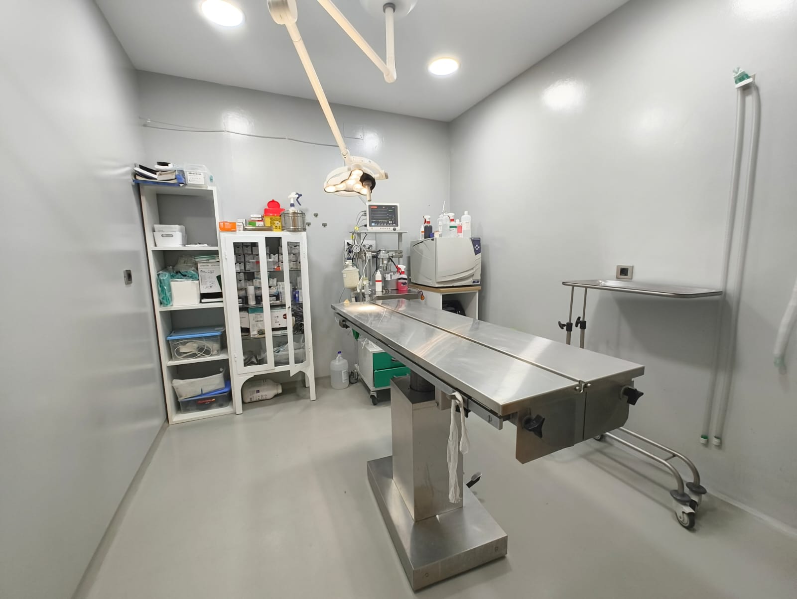 Clínica veterinaria Huellas Pet Vet