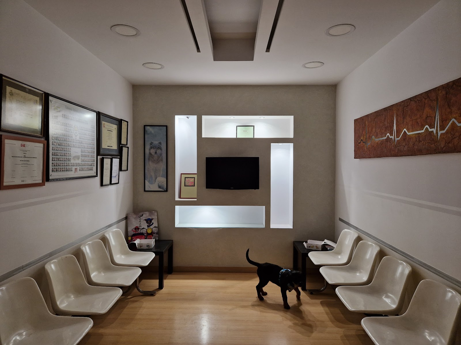 Clínica veterinaria CENTRE VETERINARI CREU ALTA