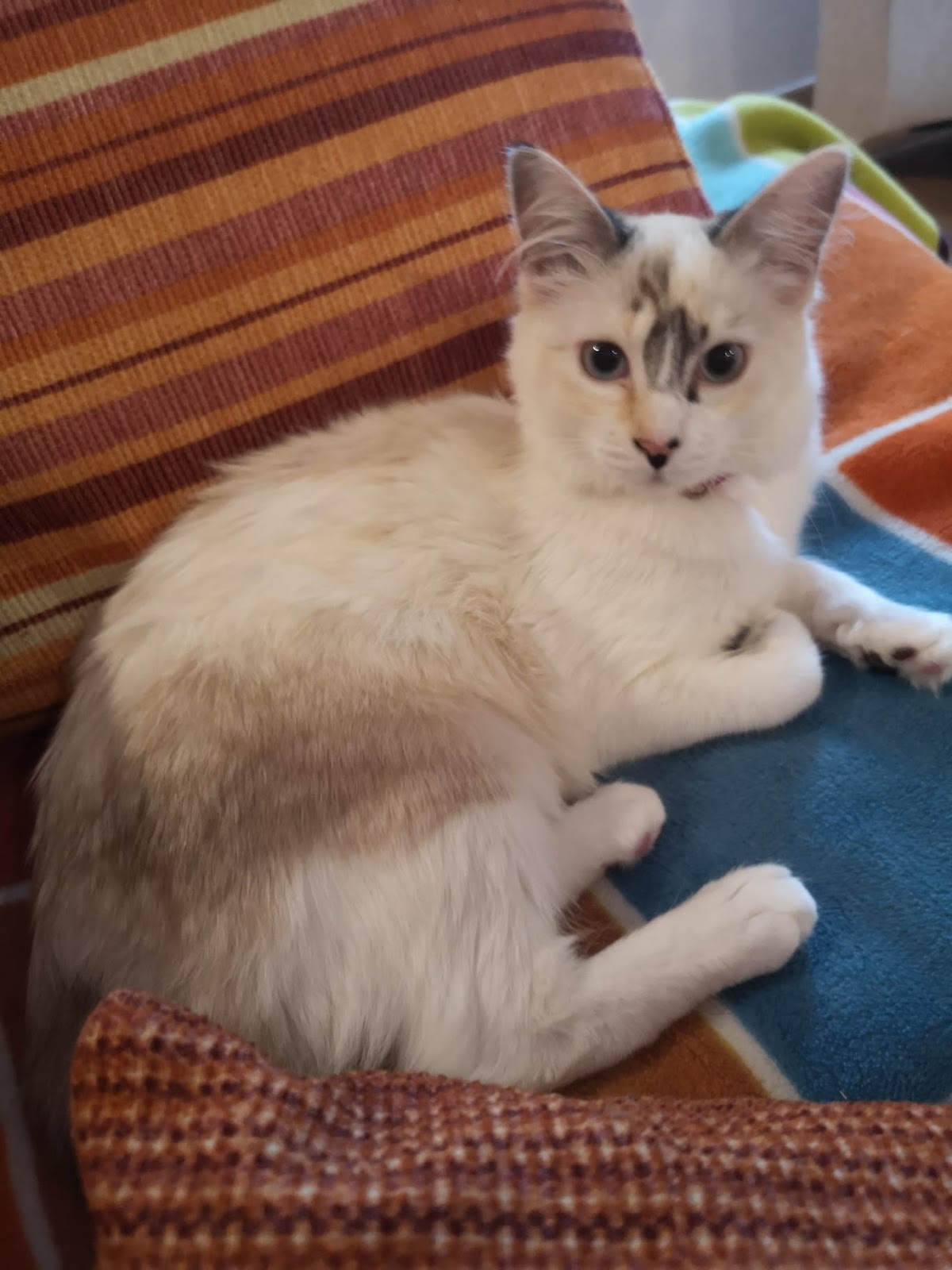 Clínica veterinaria Clinica Poly