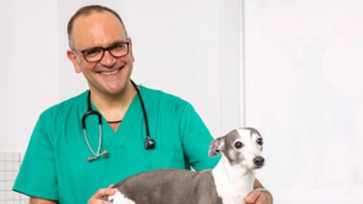 Clínica veterinaria Ozavet Clínica Veterinaria