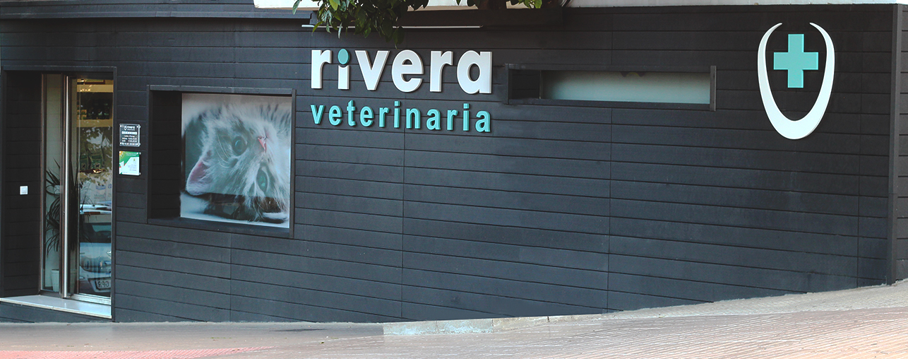 Clínica veterinaria Clínica Veterinaria Wecan Rivera