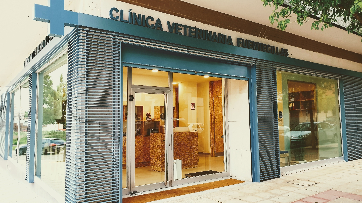 Clínica veterinaria Clinica Veterinaria Fuentecillas