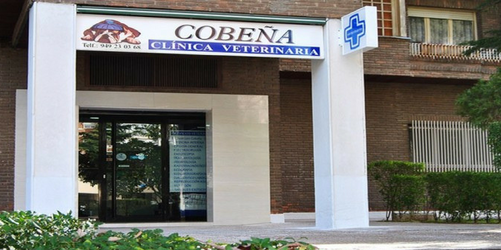 Clínica veterinaria Clínica Veterinaria Cobeña