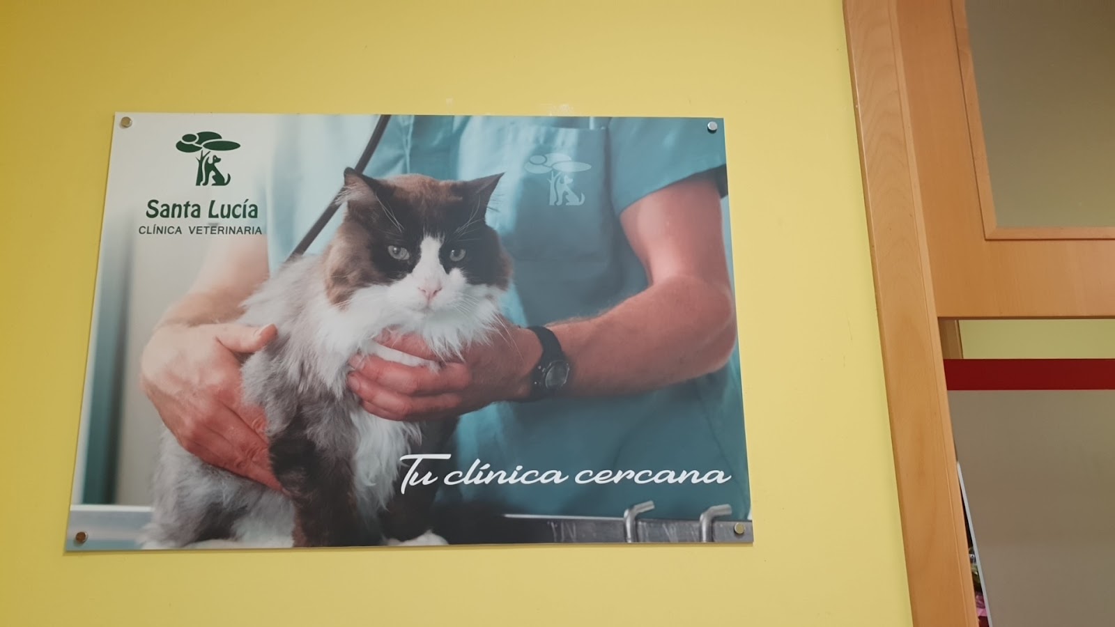 Clínica veterinaria Clínica Veterinaria Santa Lucía