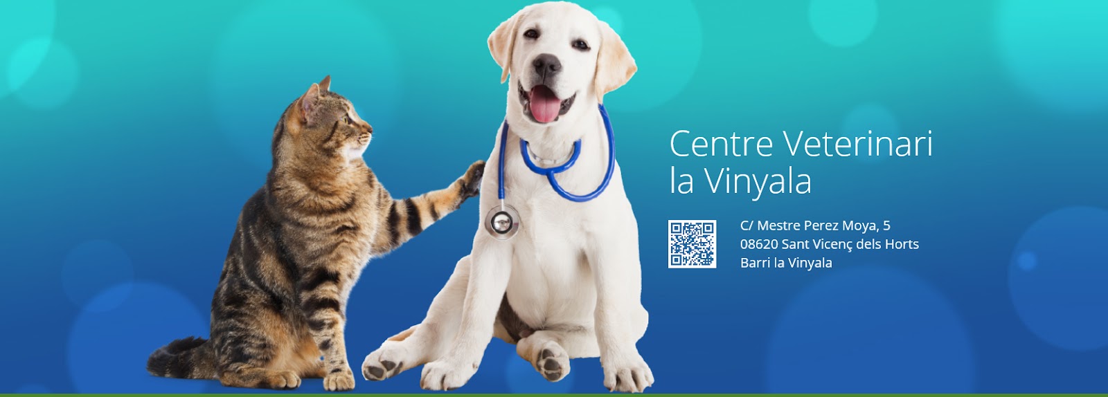 Clínica veterinaria Centre veterinari La Vinyala