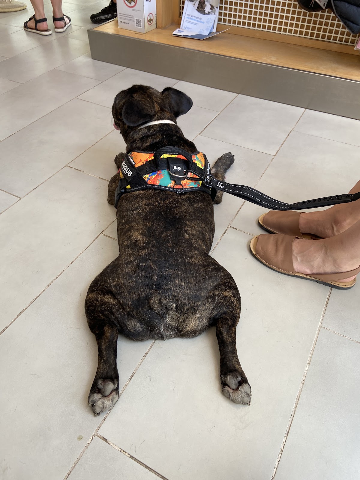Clínica veterinaria Nuevo Valdepeñas Veterinarios