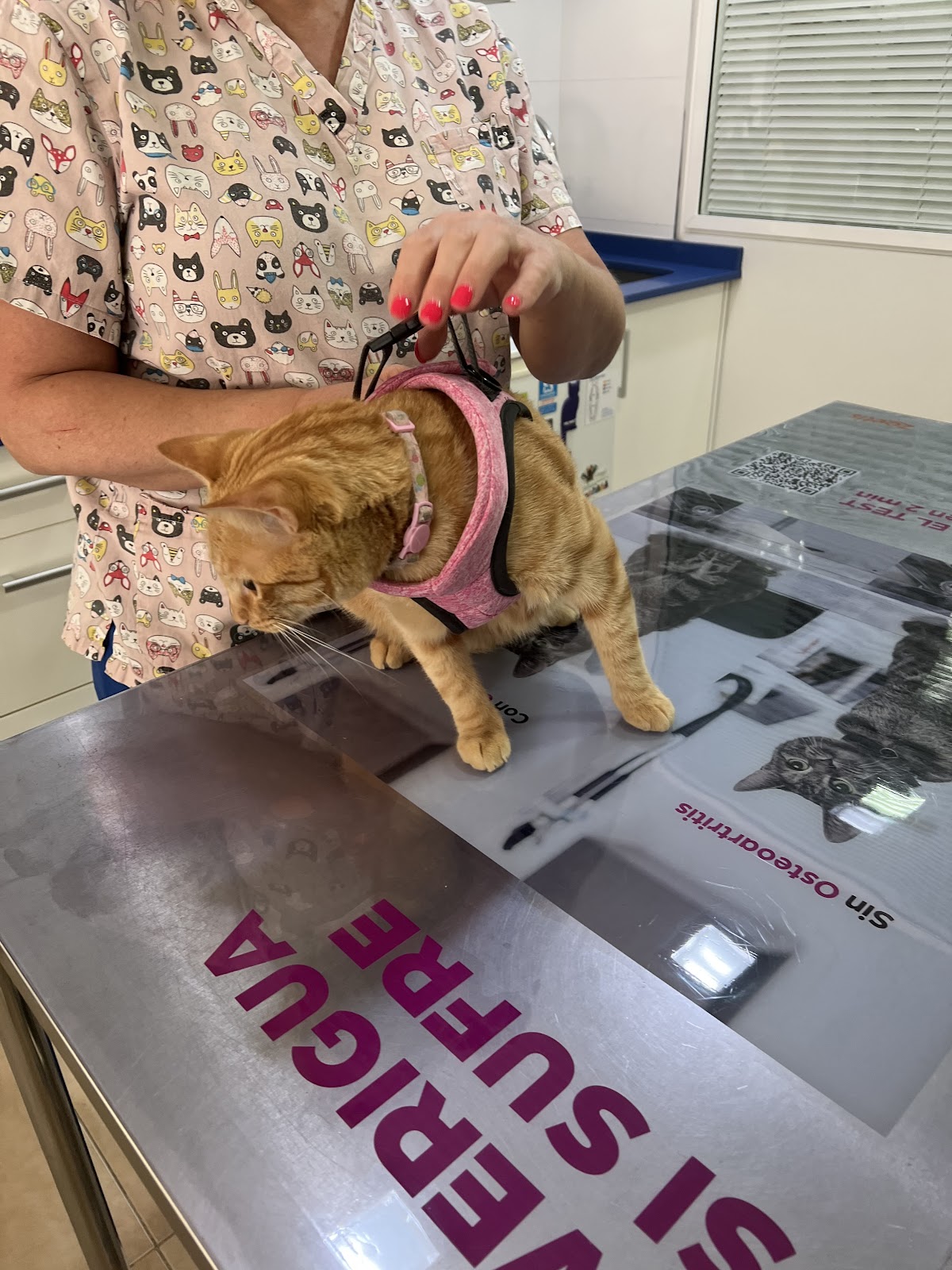 Clínica veterinaria Centauro Veterinarios