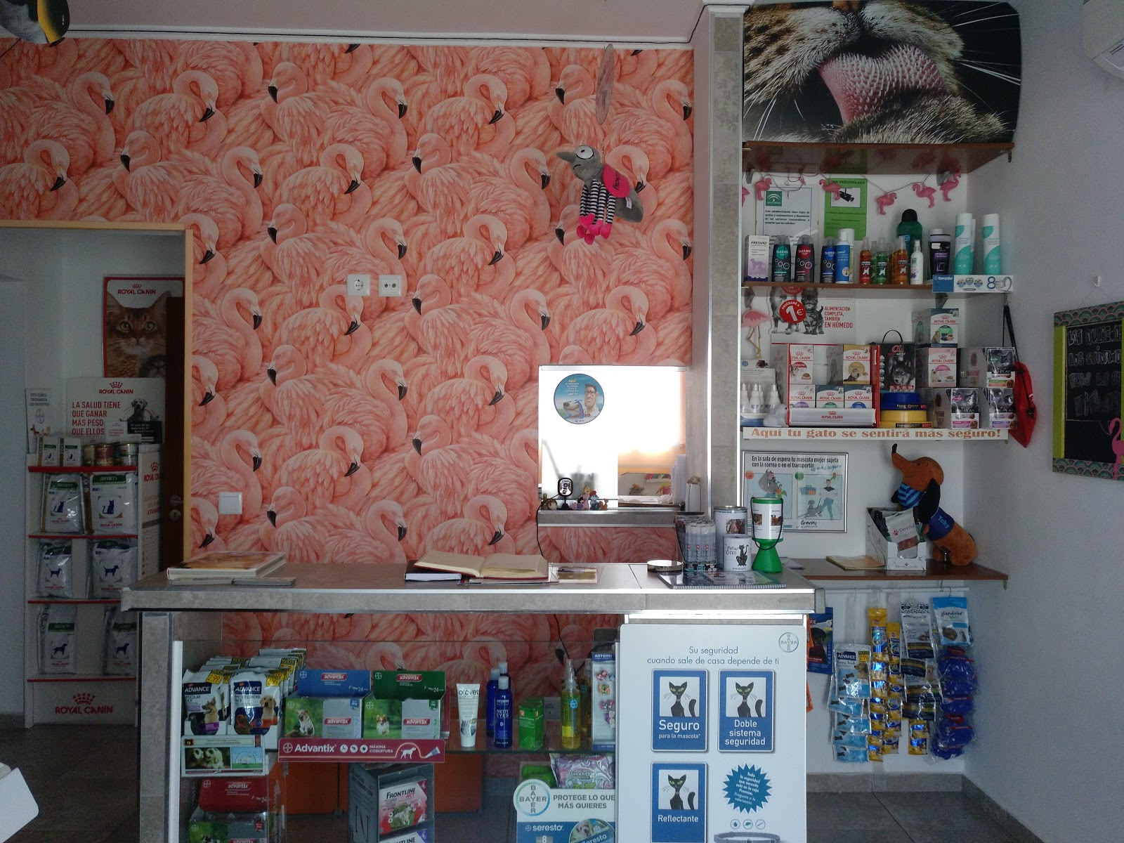 Clínica veterinaria Clínica Veterinaria DeLi