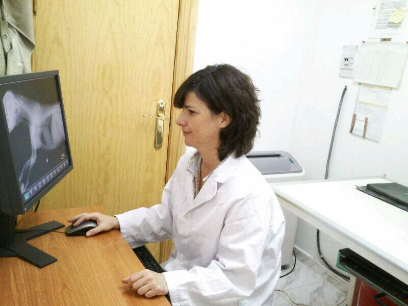 Clínica veterinaria Clínica Veterinaria Galileo