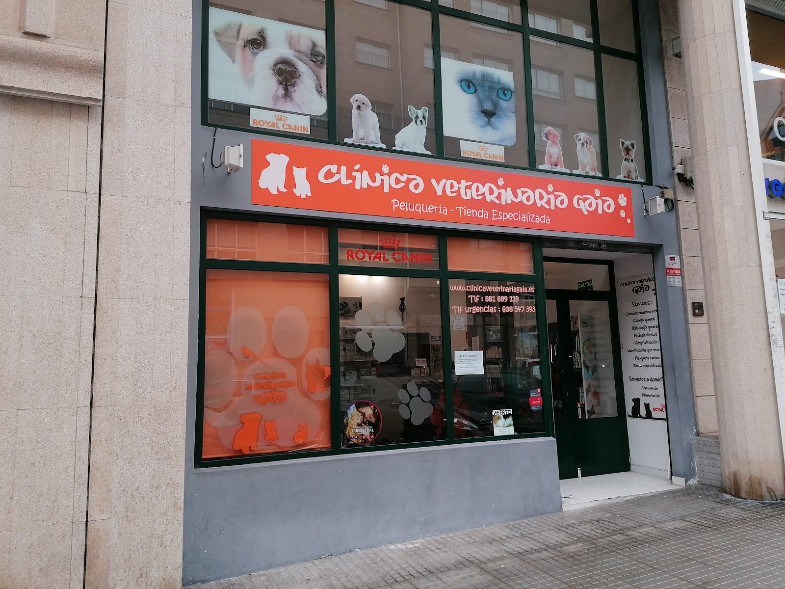 Clínica veterinaria Clínica veterinaria Gaia
