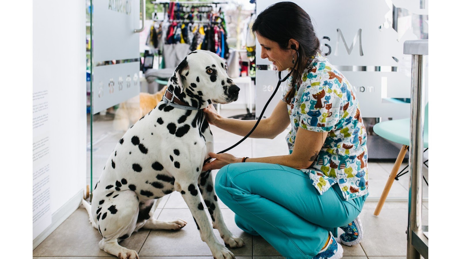 Clínica veterinaria MAVET Centro Veterinario