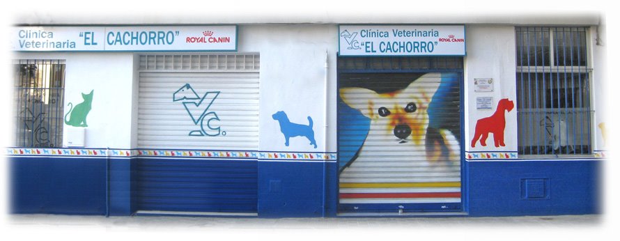 Clínica veterinaria CLINICA VETERINARIA EL CACHORRO