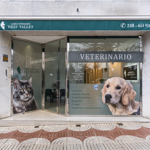 Clínica veterinaria Tres Valles - Clínica Veterinaria 24h