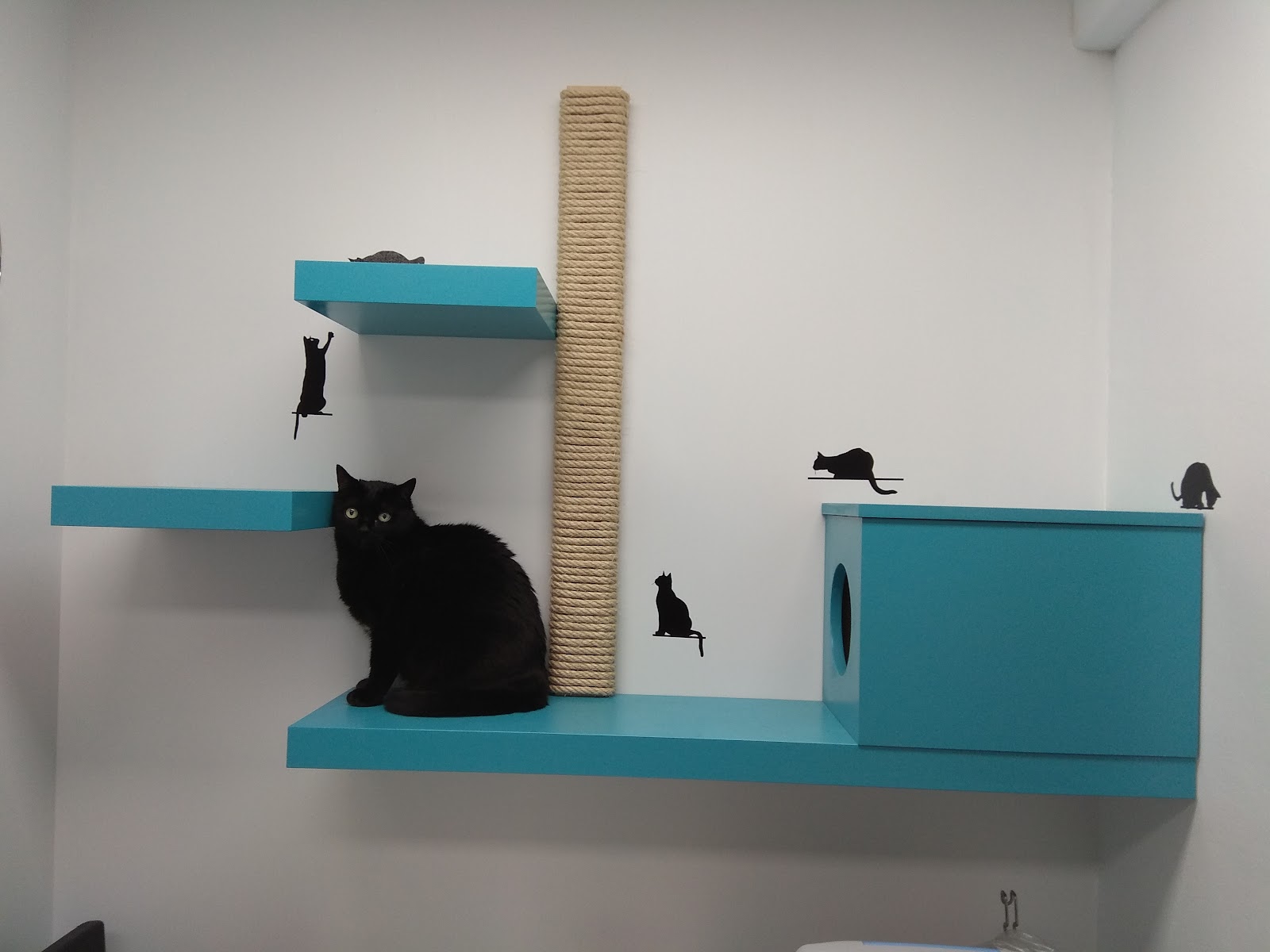Clínica veterinaria Lovet Clínica Veterinària