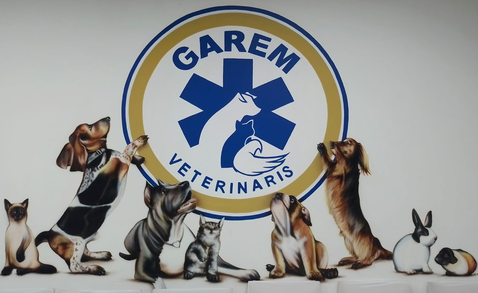 Clínica veterinaria GAREM Veterinarios 24 horas