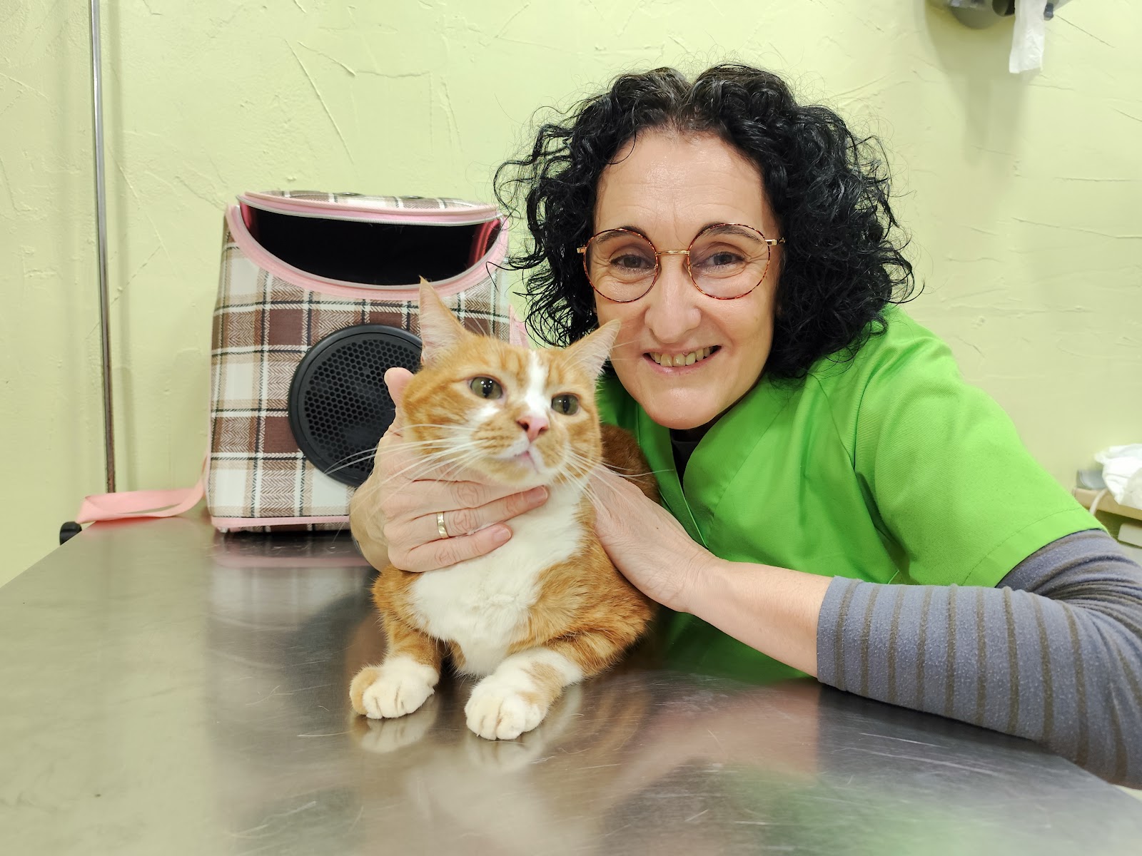 Clínica veterinaria Centro Veterinario Campoamor