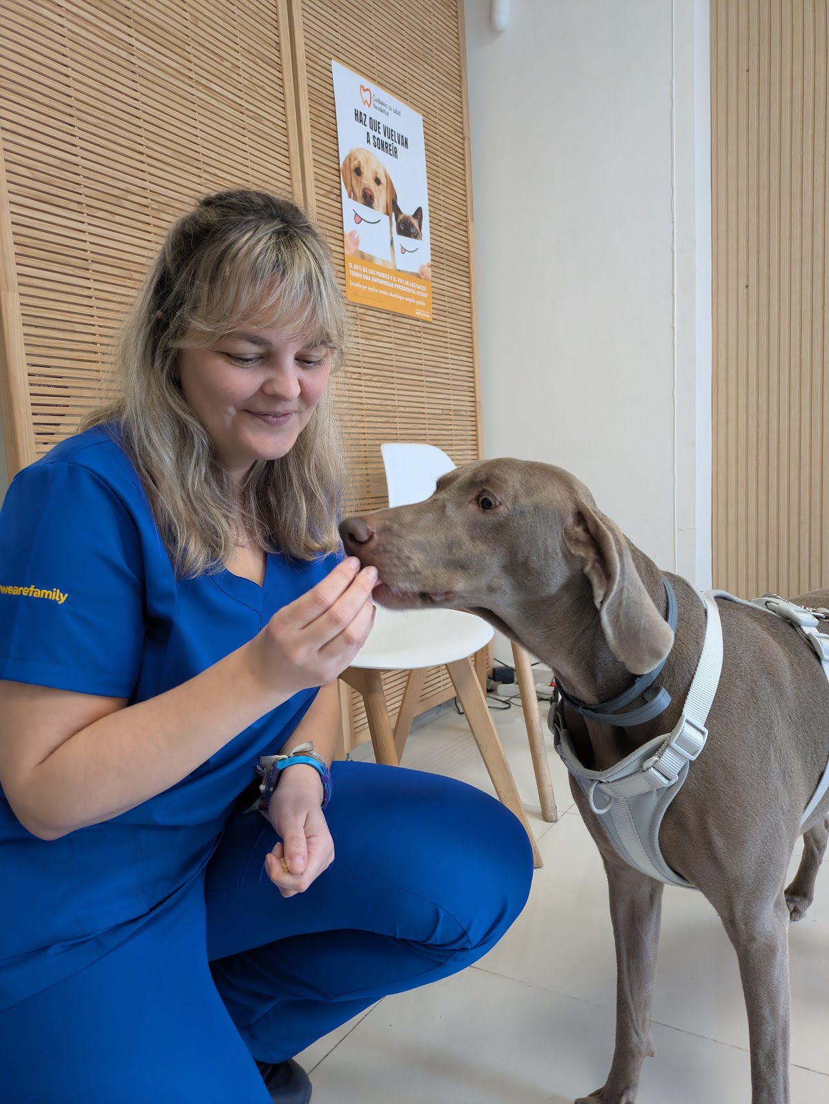 Clínica veterinaria Hospital Veterinario La Salle 24h