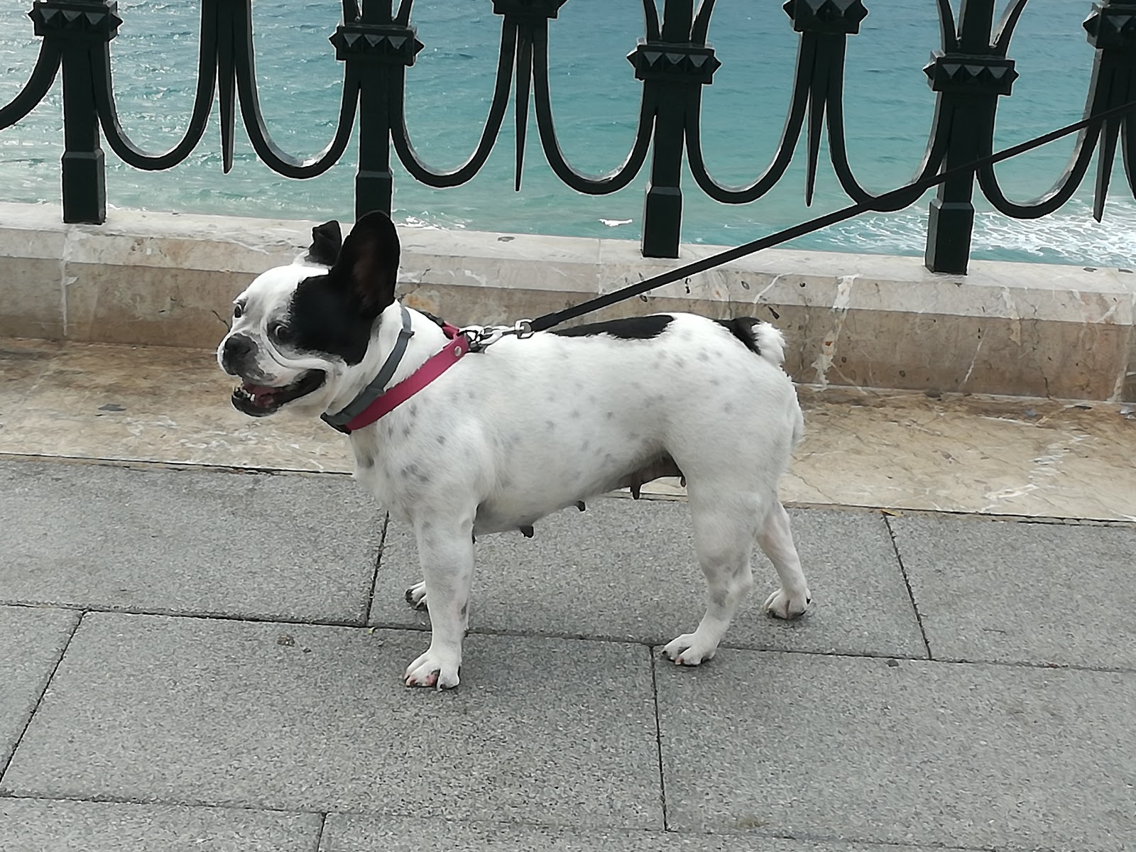 Clínica veterinaria Tàrraco Veterinària