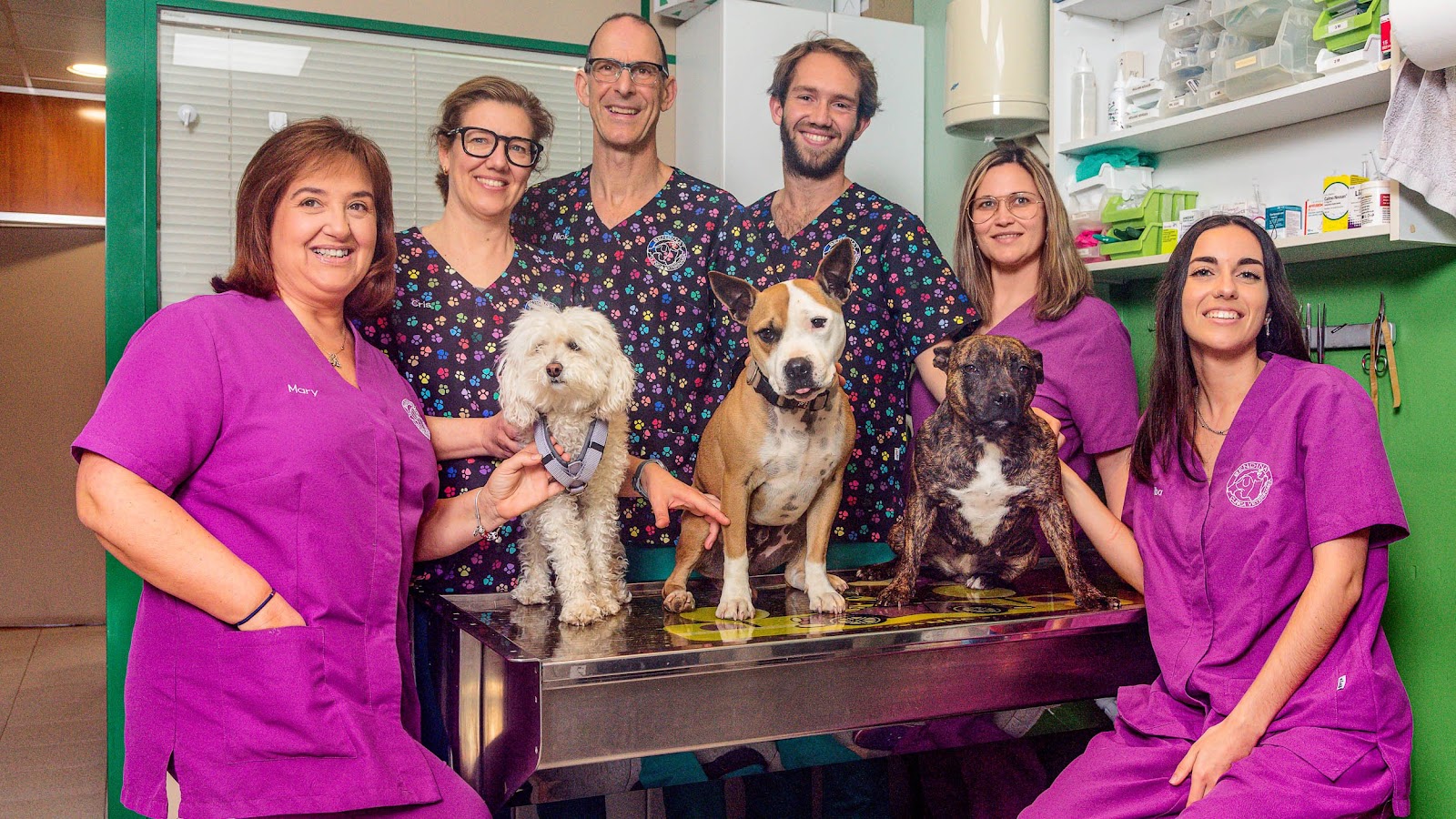 Clínica veterinaria Clinica Veterinaria Bendinat