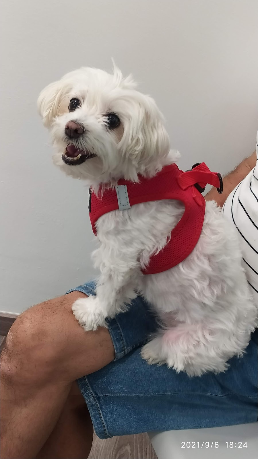Clínica veterinaria Nacho Anadón