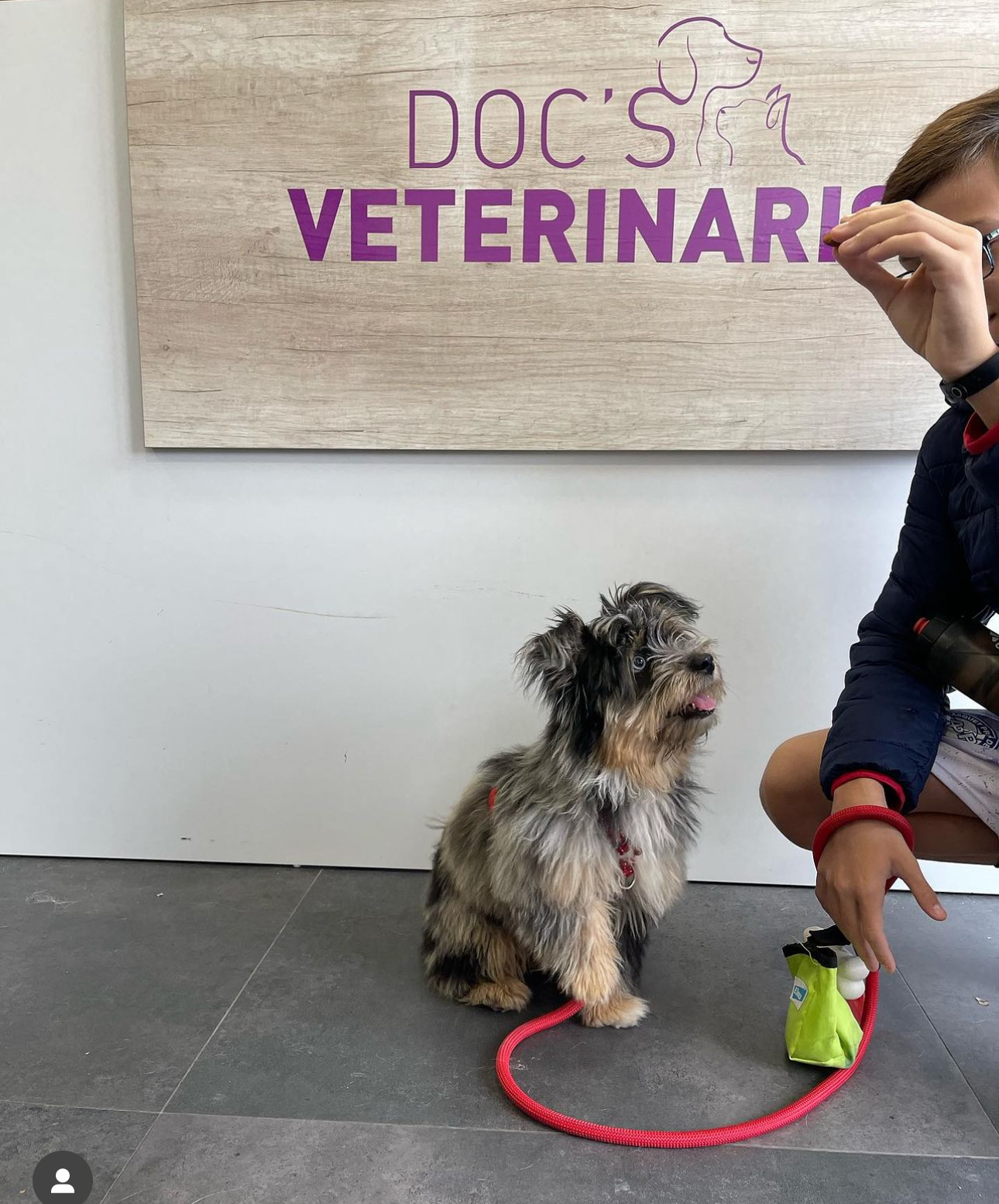 Clínica veterinaria Doc´s