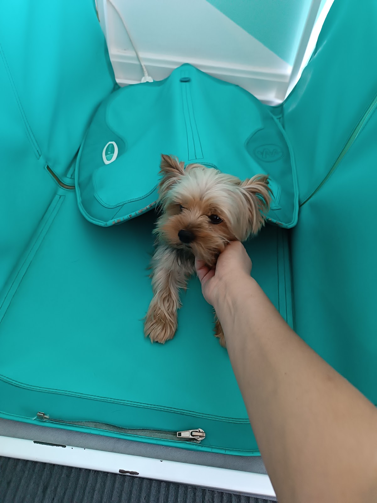 Clínica veterinaria Fisiomascota