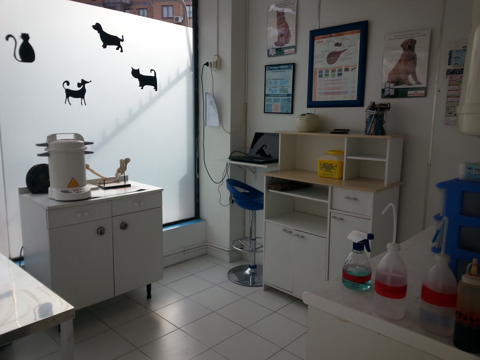 Clínica veterinaria Avenue Veterinary Clinic Spain