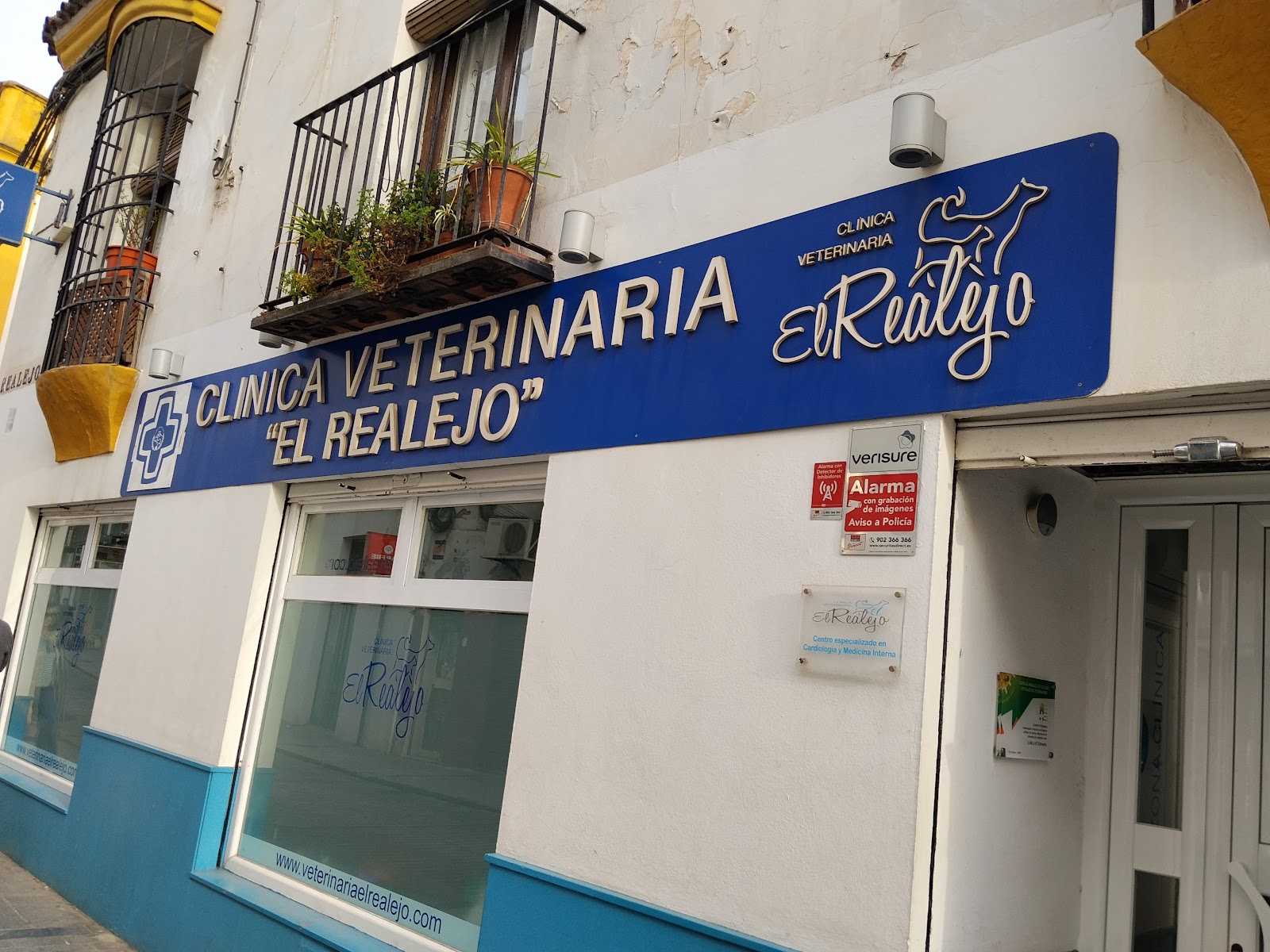 Clínica veterinaria Clinica Veterinaria el Realejo