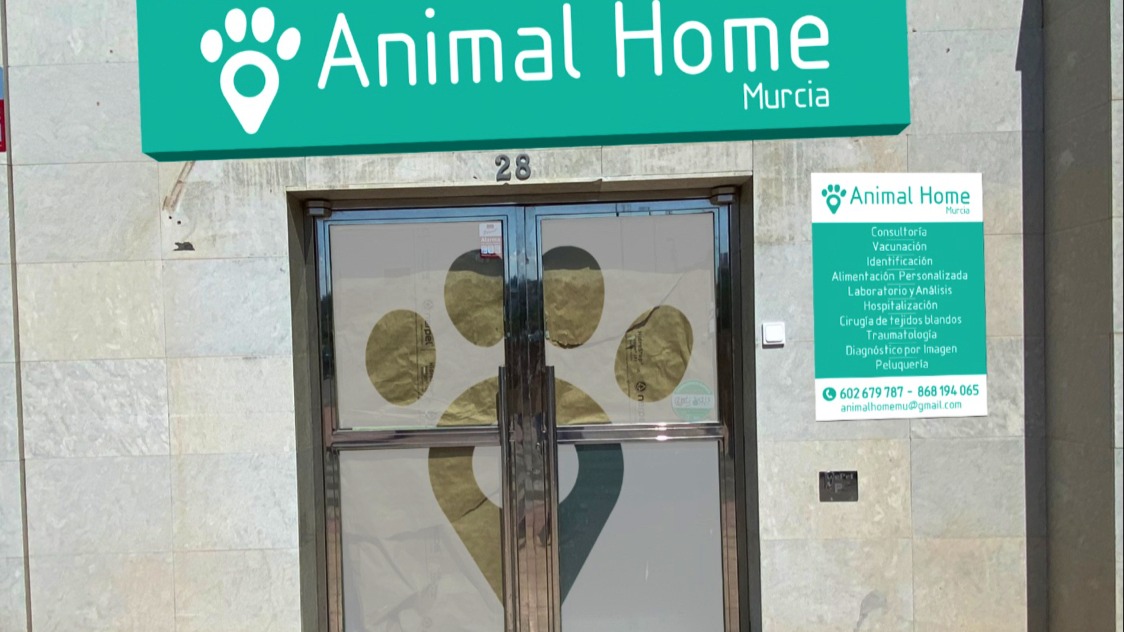 Clínica veterinaria Animal Home Murcia