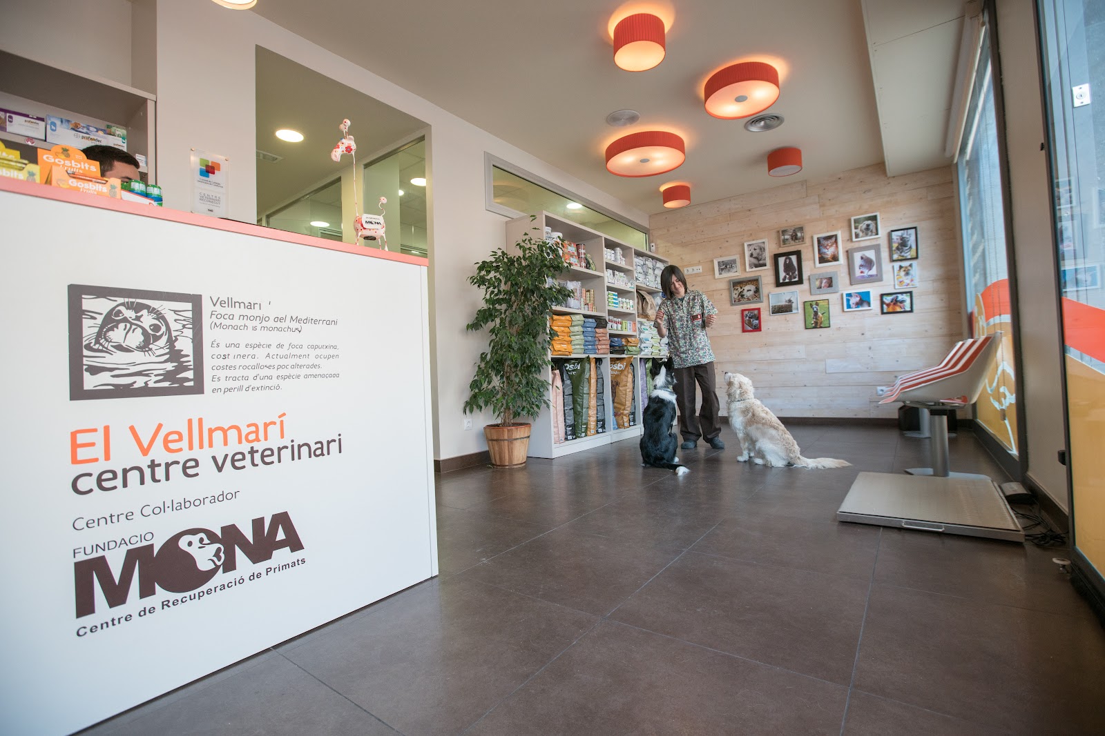Clínica veterinaria El Vellmarí