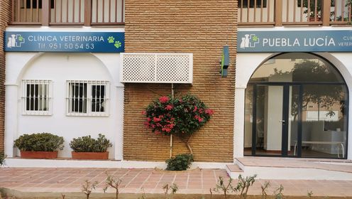 Clínica veterinaria Clínica Veterinaria Puebla Lucía