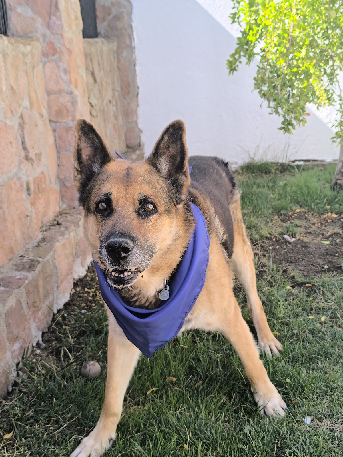 Clínica veterinaria Clinic Veterinaria Legavet