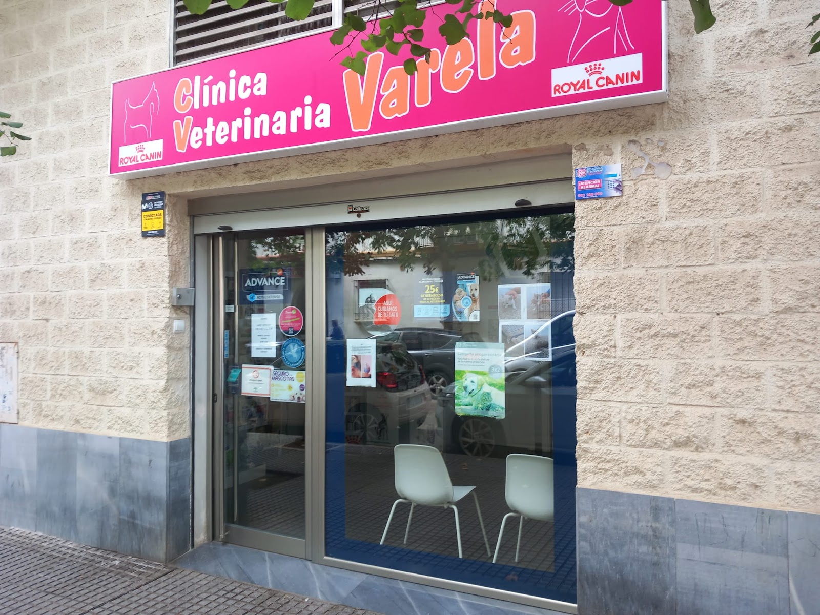 Clínica veterinaria Clínica Veterinaria Varela