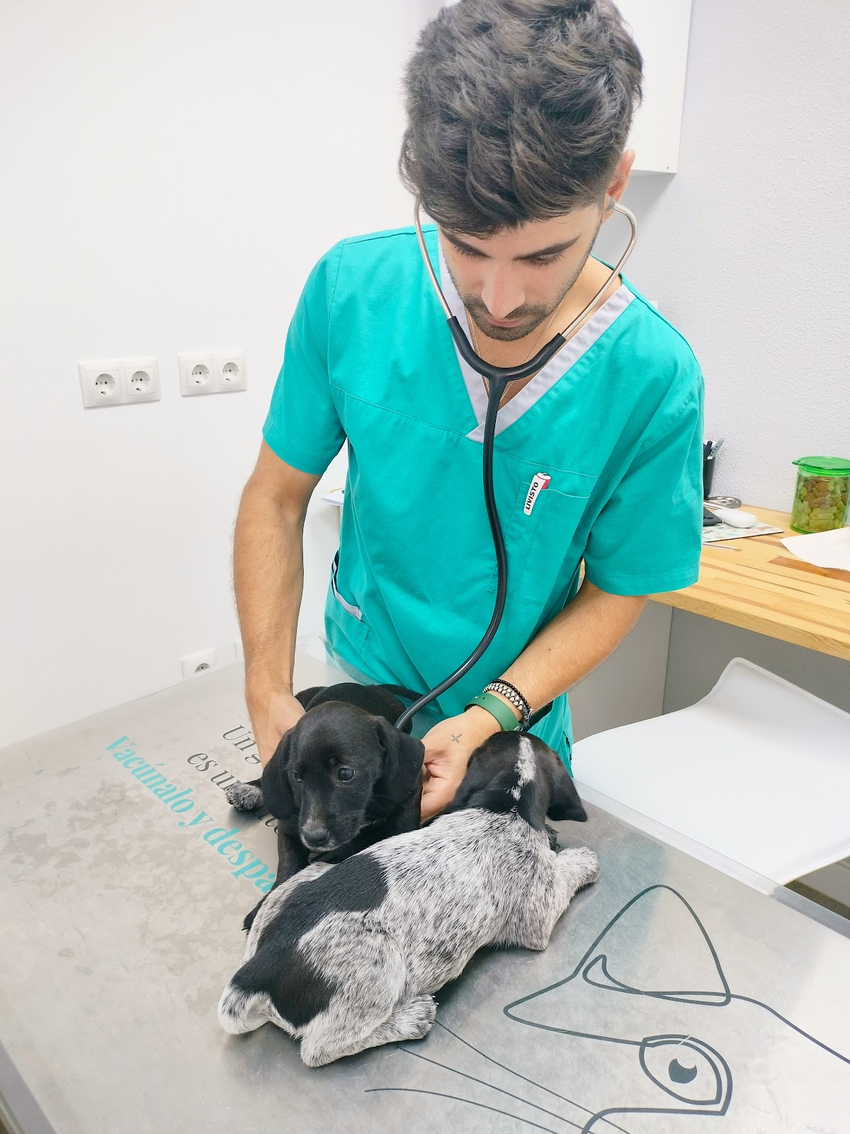 Clínica veterinaria Clínica Veterinaria Los Ángeles Veterinarios