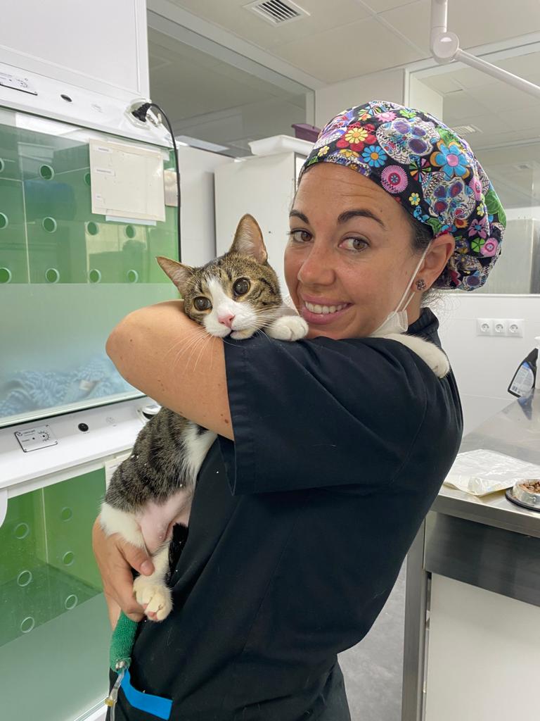 Clínica veterinaria iRCA Veterinaria