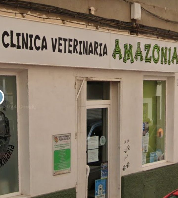 Clínica veterinaria Clínica Veterinaria Amazonia