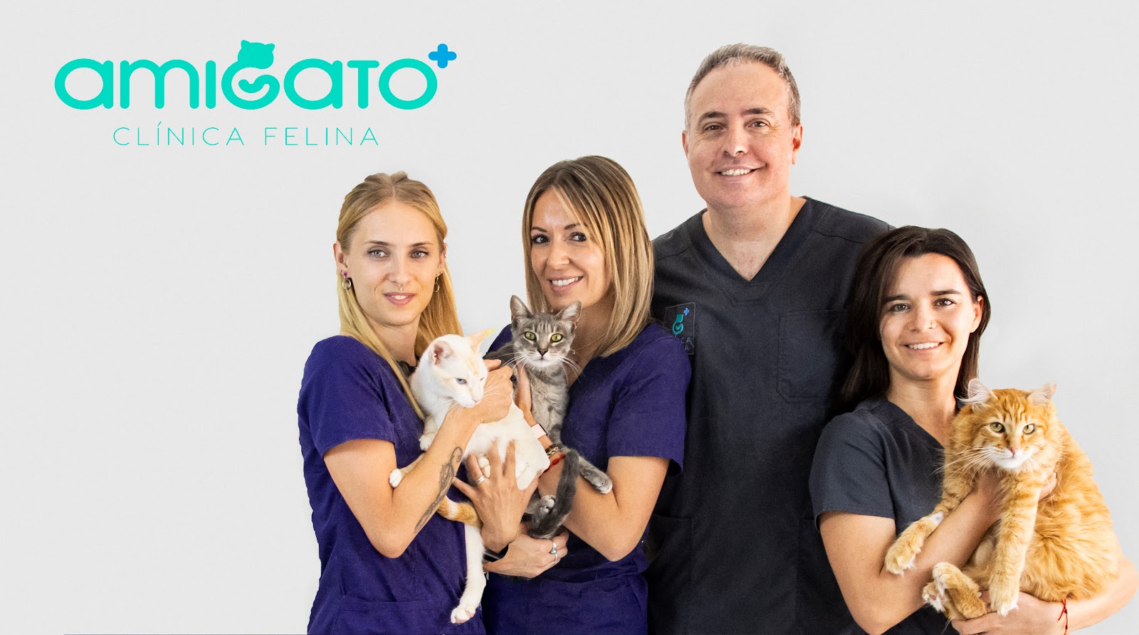 Clínica veterinaria AmiGato Clínica Felina
