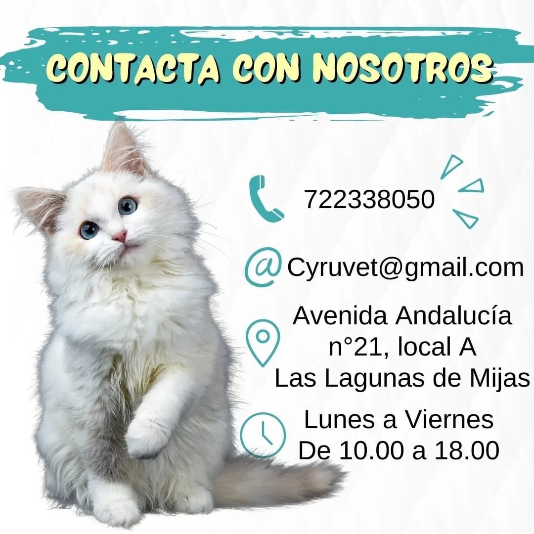 Clínica veterinaria Cyruvet Clínica Veterinaria — Urgencias las 24 horas