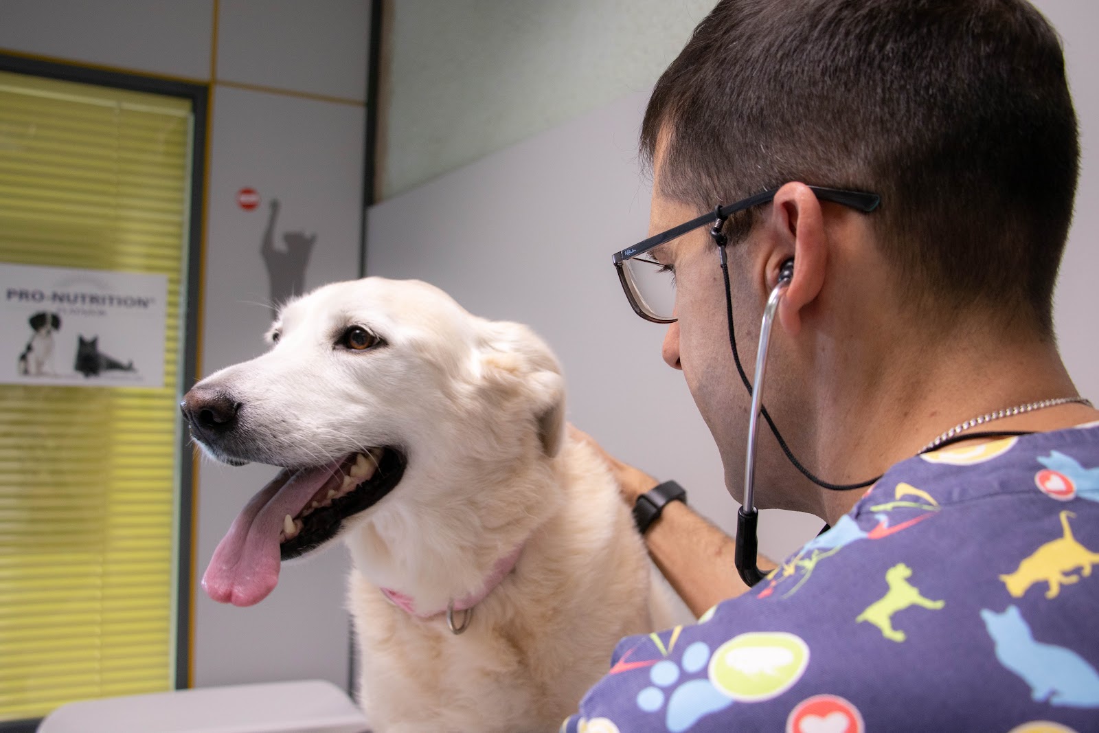 Clínica veterinaria Consultorio Veterinario Las Labradas