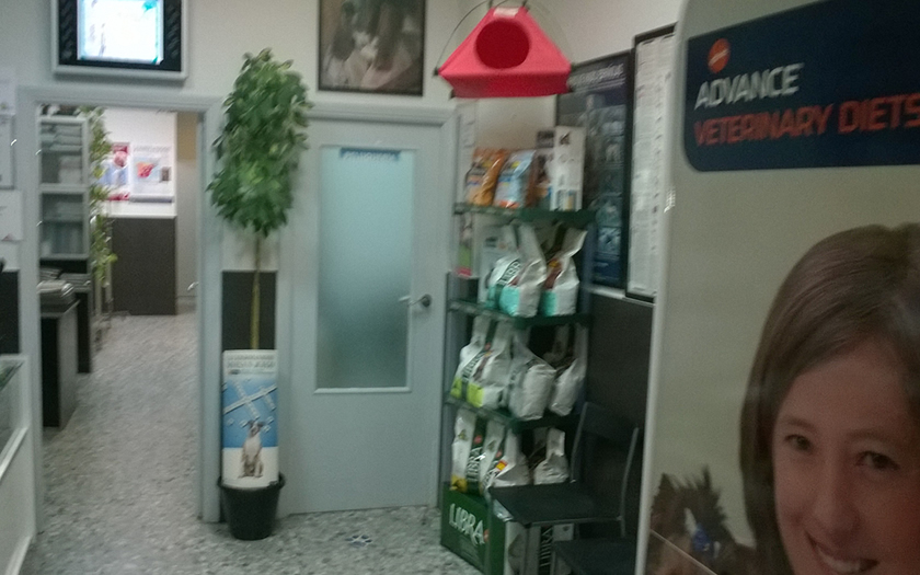 Clínica veterinaria Centro Veterinario Monzon