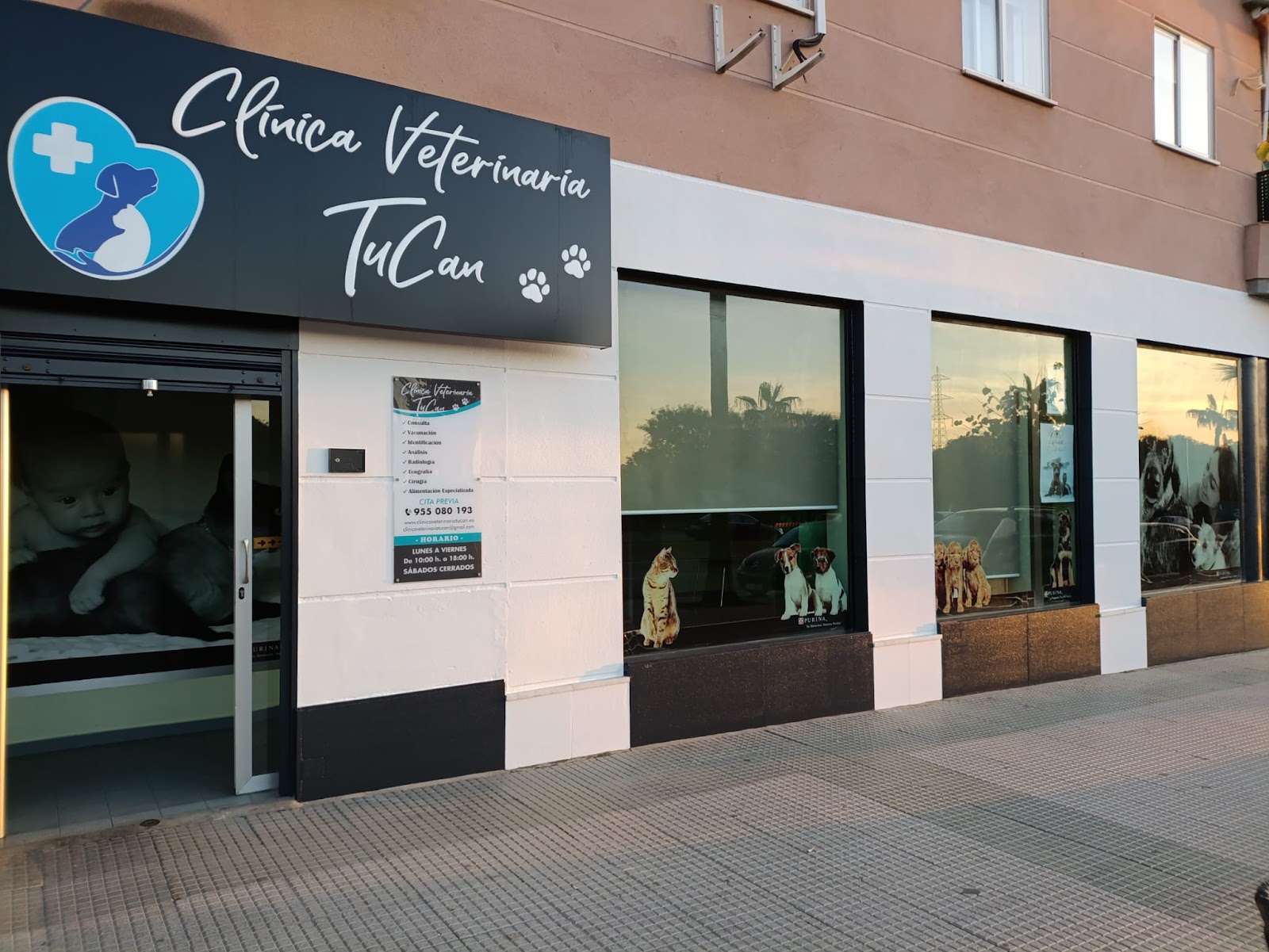 Clínica veterinaria Veterinary Clinic toucan