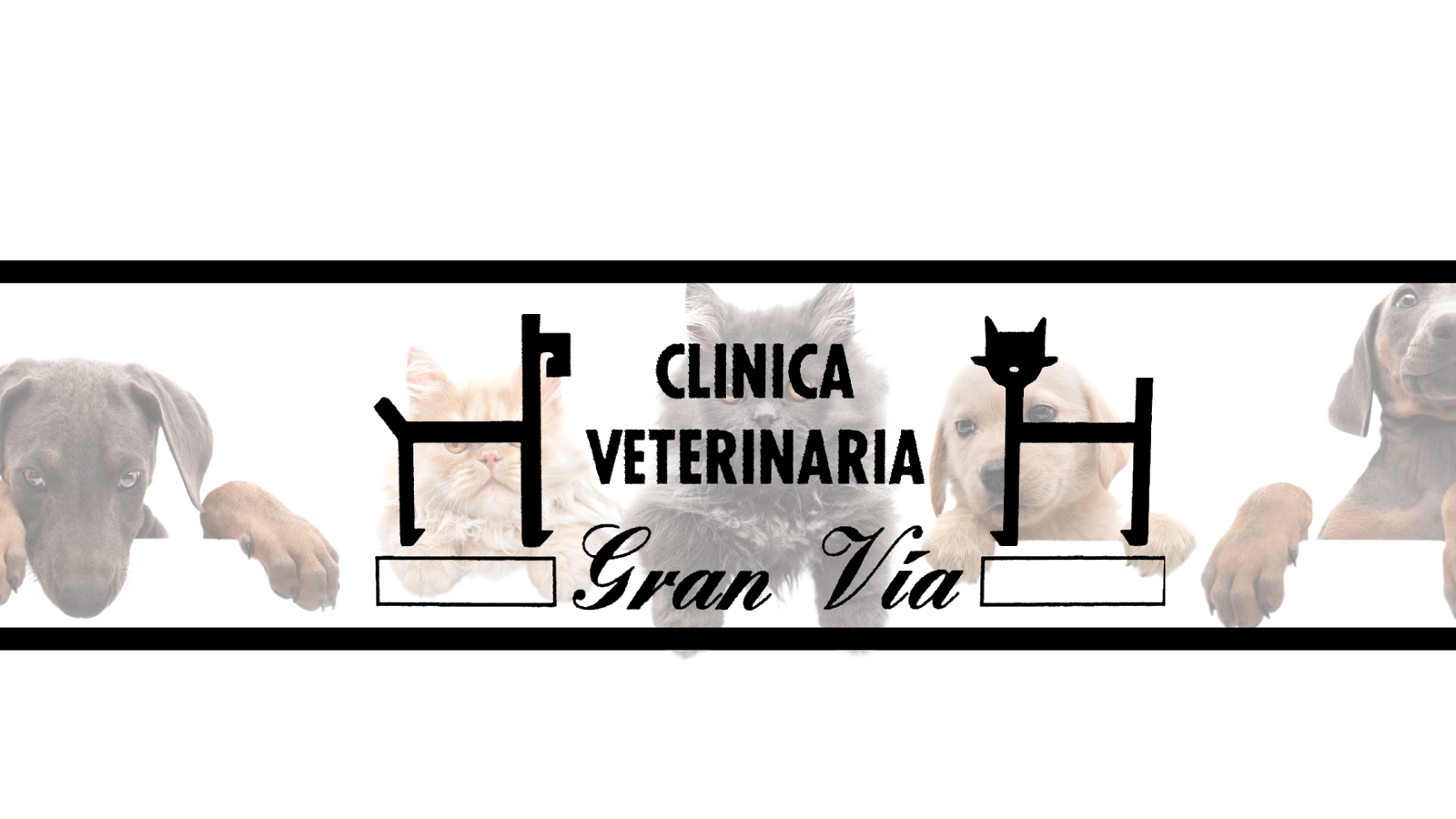 Clínica veterinaria Clínica Veterinaria Gran Vía