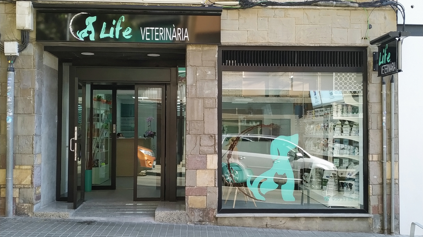 Clínica veterinaria Life Veterinària
