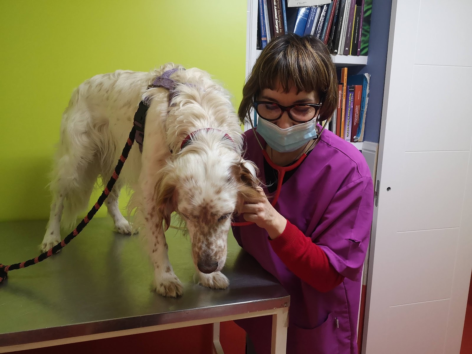 Clínica veterinaria Centro Veterinario "Plaza de España"