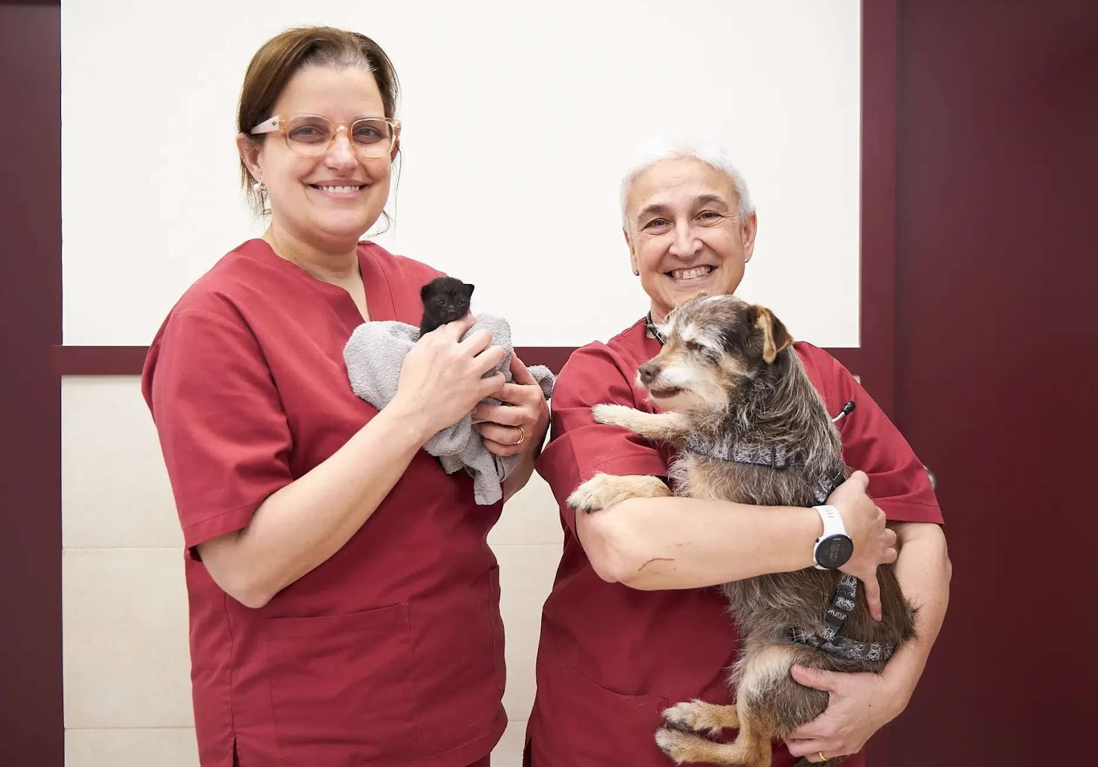 Clínica veterinaria Bremen Veterinaria